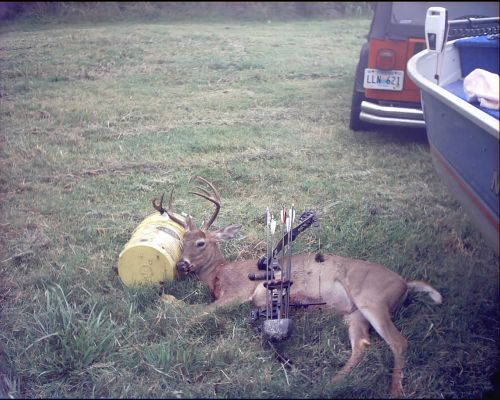 First Buck with a bow 2001
