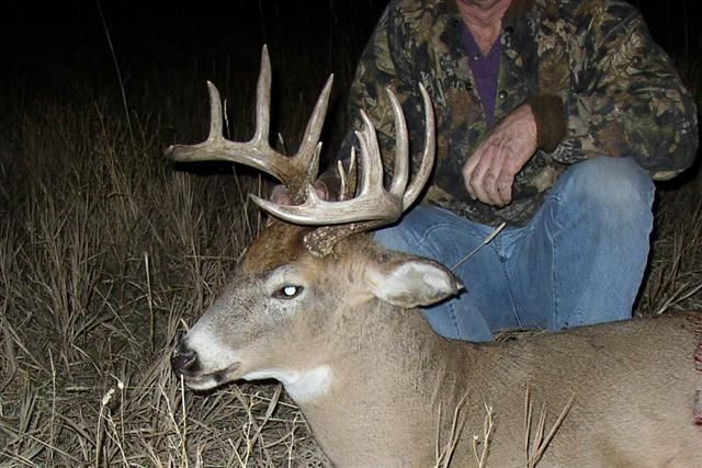 Whitetail buck II - 2006 
S Central Montana, .257 Ackley
