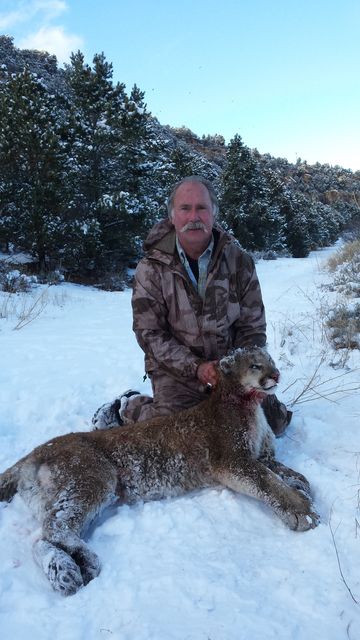 Click to view full size image
 ============== 
Lion 3 
Hunt with JT Robbins
.30-30 Win, 150 gr Sierra FP
