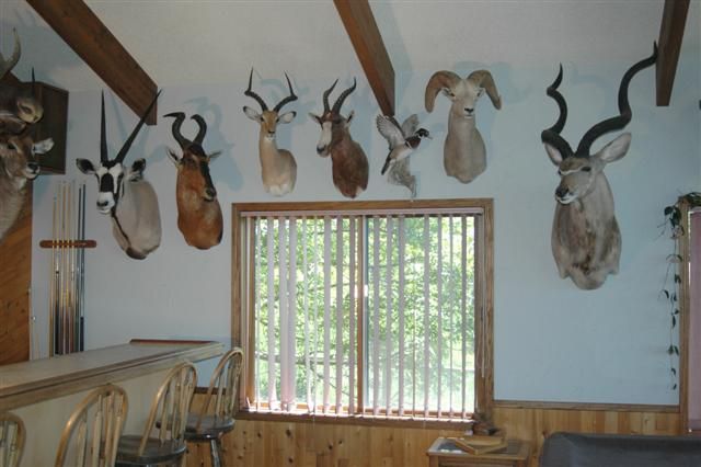 Trophy room, lt side of south wall
