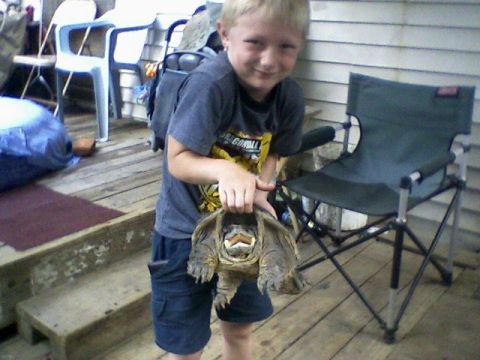 My sons first snapper
My sons first snapper, it made a good stew
Keywords: turtle, snapper, snaping turtle