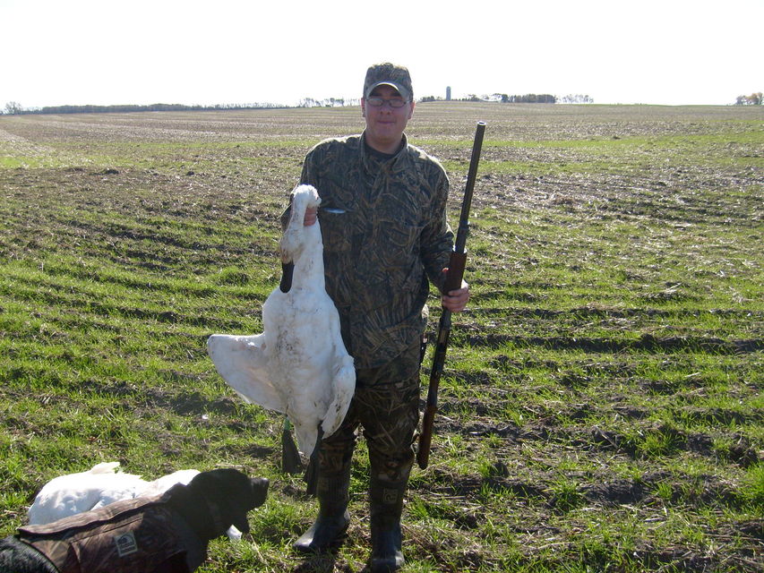 Click to view full size image
 ============== 
Stevies first tundra swan.
