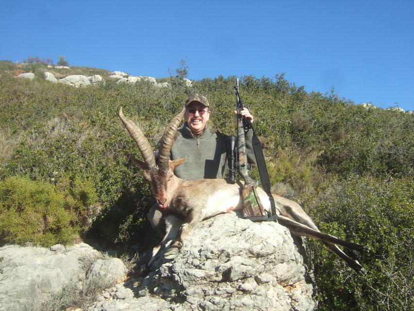 Click to view full size image
 ============== 
Beceite Ibex
January 2012
Keywords: Beceite Ibex