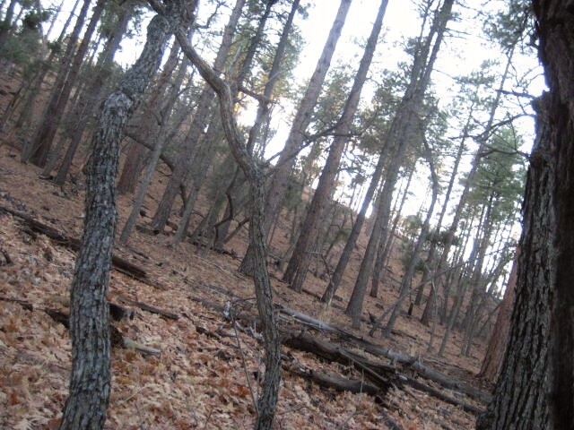 022_22.jpg