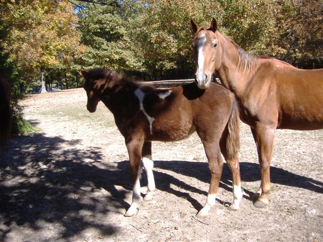 091 buddies (small).jpg