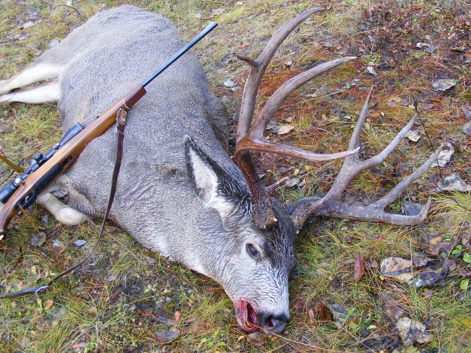 2008_1109huntinnov20080055.jpg