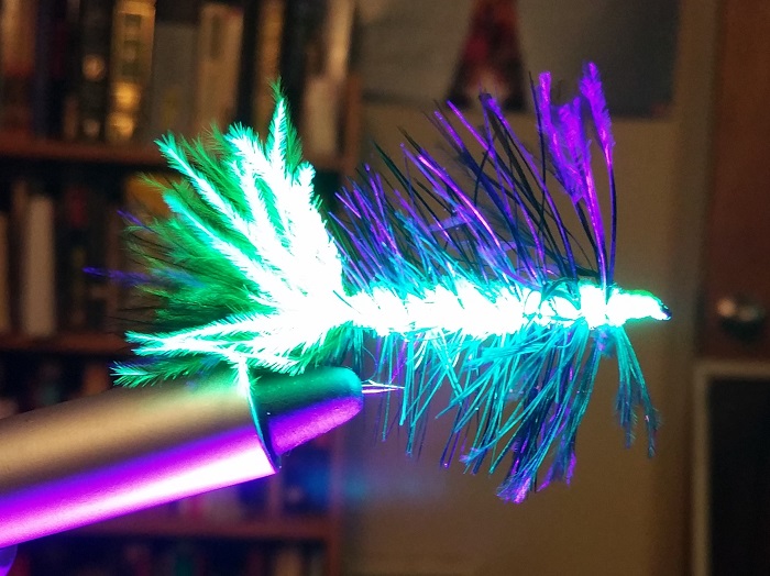 20150916_1924172.jpg