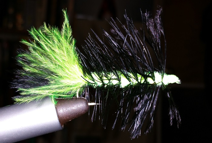 20150916_1924422.jpg