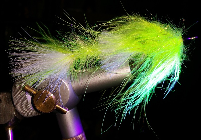20150924_2059172.jpg