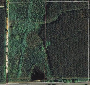 40 acres small.jpg