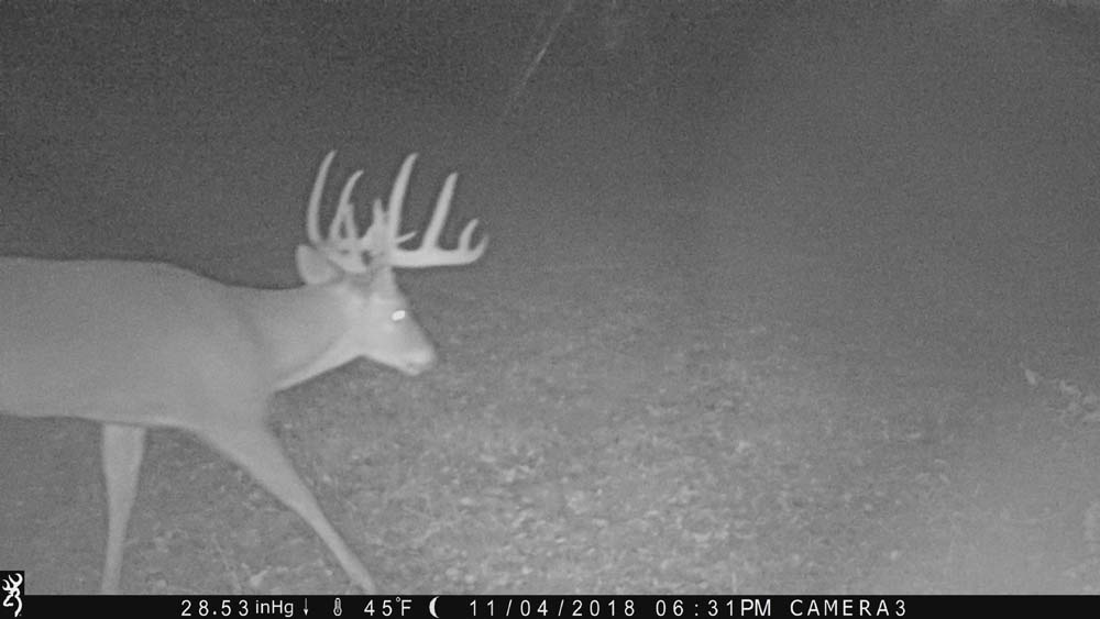 big buck trail cam pic 1000.jpg