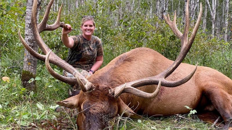 bull elk.jpg