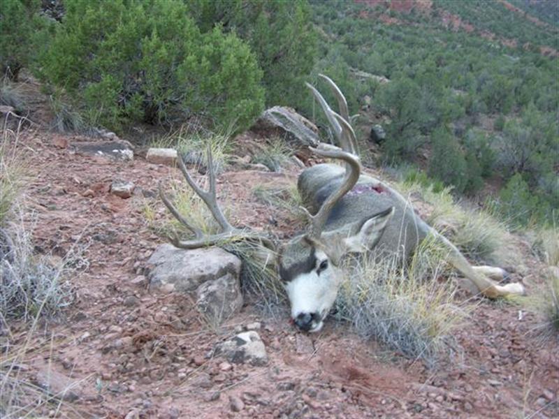 dscn0027 (small) (medium).jpg
