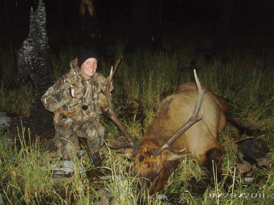 elk.jpg