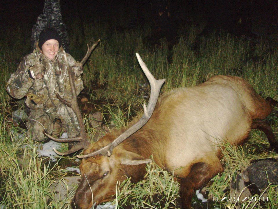 elk2.jpg
