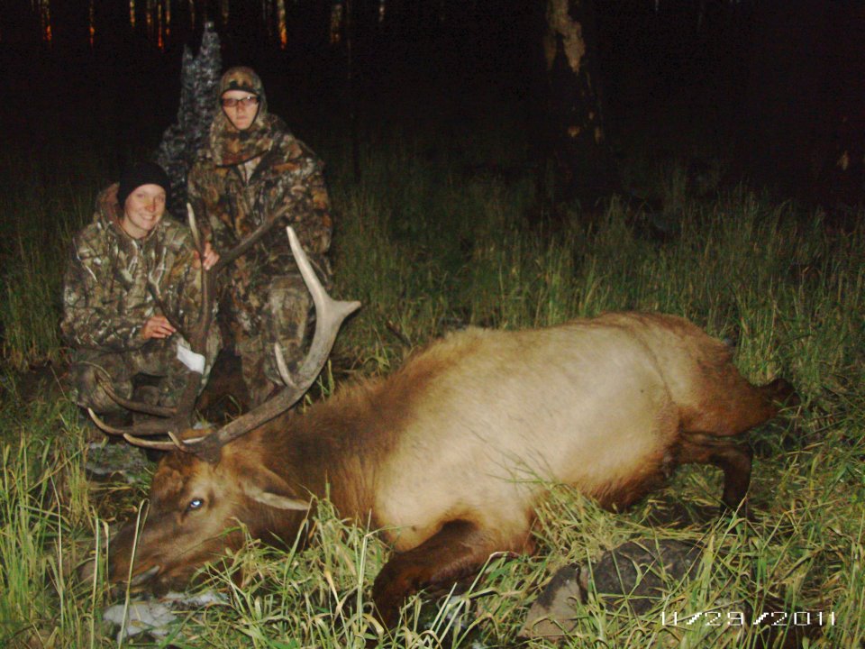 elk4.jpg