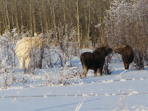 image003.jpg