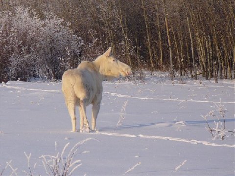 image005.jpg