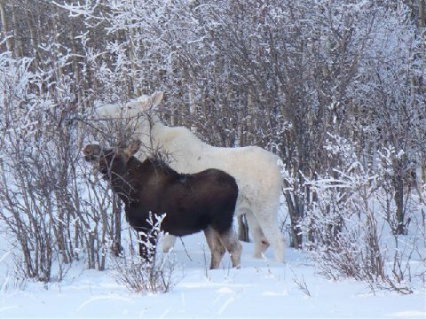 image006.jpg