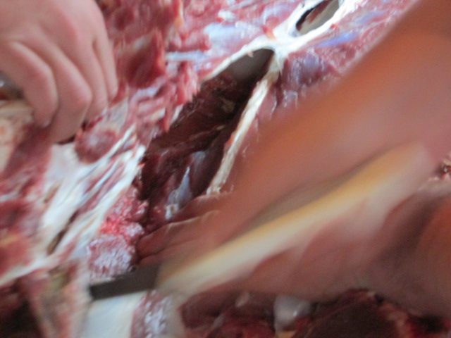 img_0449.jpg