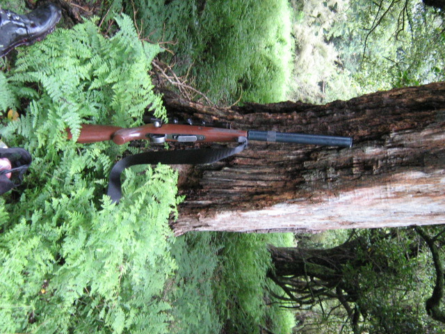 img_1861.jpg