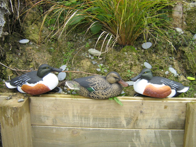 img_1890.jpg