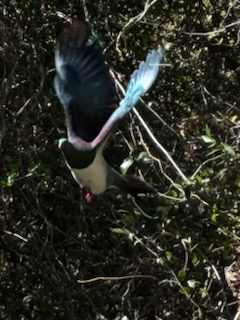 img_20260911_173938.jpg