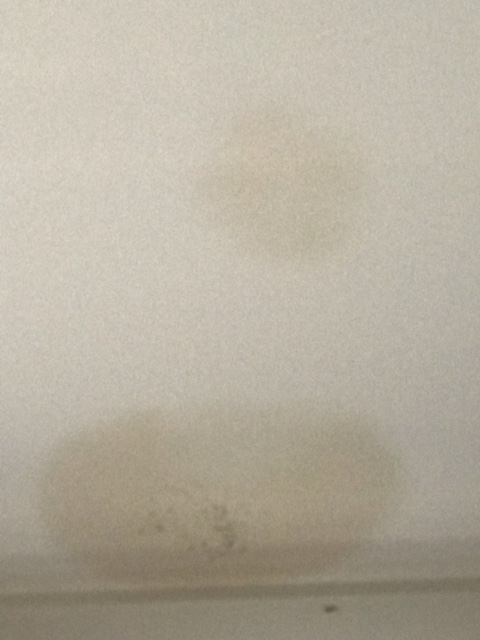 leak byron\'s bedroom ceiling.jpg