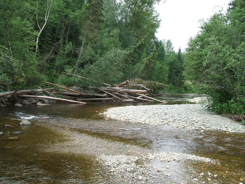 naver creek july 21 2007 011.jpg