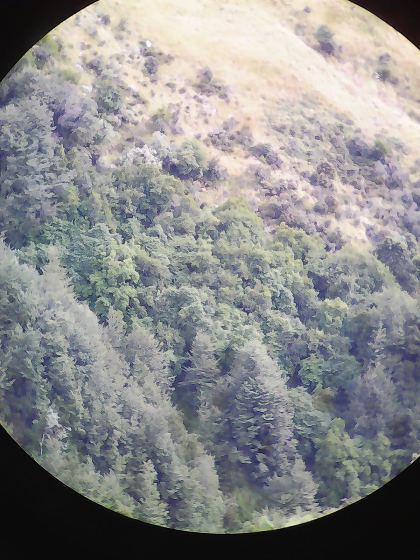 pic_bino n camera.jpg