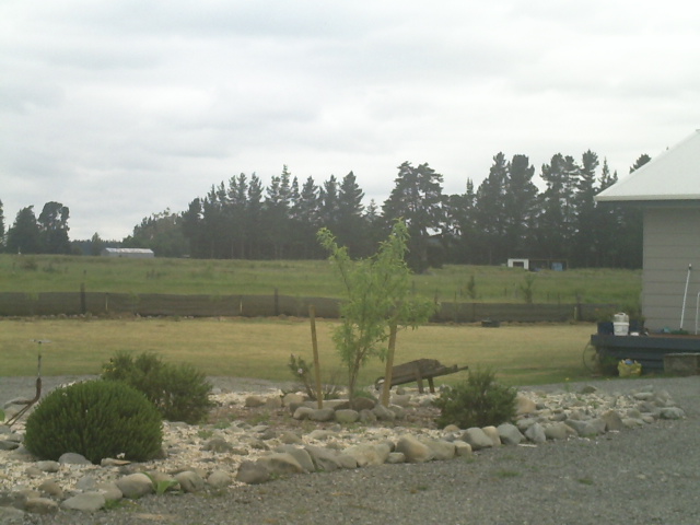 pict0022.jpg