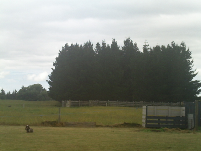 pict0026.jpg