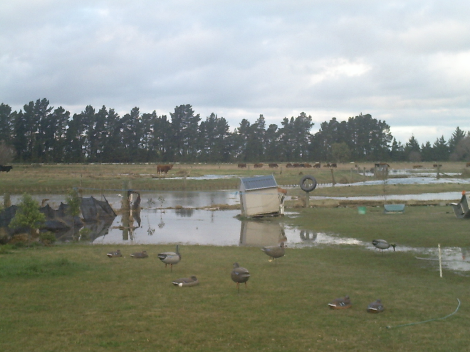 pict0026.jpg