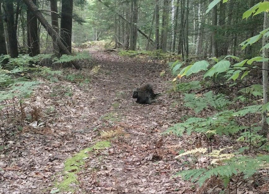 screenshot 2024-10-04 210335.jpg